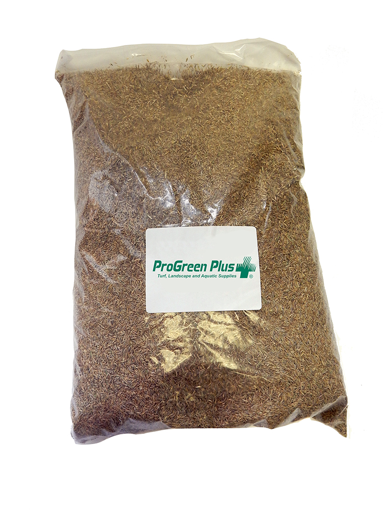 ProGreen Shade 5 lb bag - Turfgrass Seed